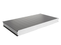 PWS 100