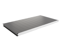 PWS 50