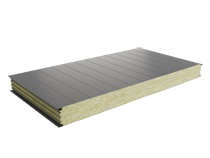 PWS-W 100