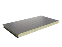 PWS-W 60